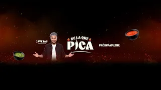 THE ONE THAT STINGS | SEASON 1 PROMO | SPORTS IMAGE