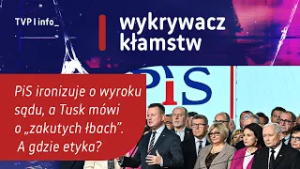PiS ironizuje o wyroku sądu, a Tusk mówi o „zakutych łbach”. A gdzie etyka? | WYKRYWACZ KŁAMSTW