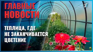 Житель Усть-Каменогорска превратил маленькую дачу в настоящую цветочную мастерскую