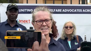 Animal Rights Activists Push for Tougher Action Against Abusers