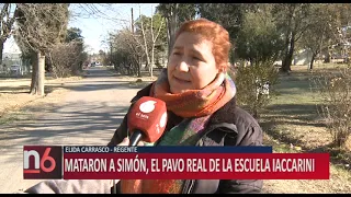 MATARON A SIMÓN, EL PAVO REAL DE LA ESCUELA IACCARINI
