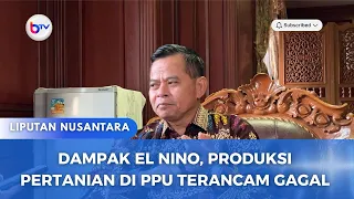DAMPAK EL NINO, PRODUKSI PERTANIAN DI PPU TERANCAM GAGAL