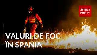 The phenomenon making wildfires in Spain impossible to control
