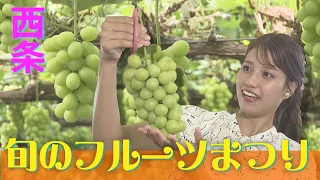 Found a "Tasty Autumn" in Saijo! Enjoy Seasonal Flavors with Grape Picking and Limited-Edition Fi...