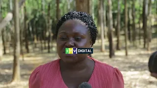 ‎WAKULIMA WAIANGUKIA SERIKALI MALIPO HEWA UKAA