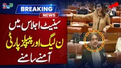 PML-N and PPP Face Off in Senate Session! Political Tensions Rise | Breaking News | NEO News