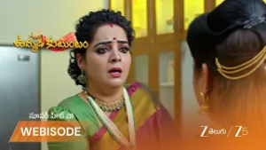 UMMADI KUTUMBAM | మాట వినకుండా చేయి కాల్చుకున్న ఆనంద భైరవి ని ఆపిన దామిని