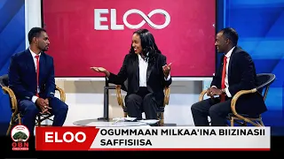 Qophii Eloo || Ogummaan milkaa'ina biizinasii saffisiisa