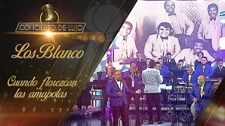 [Concierto de Lujo] – Orquesta Los Blanco – Cuando Florezcan Las Amapolas