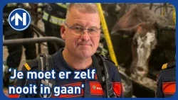 Hoe een gespecialiseerd brandweerteam dieren uit de mestput redt