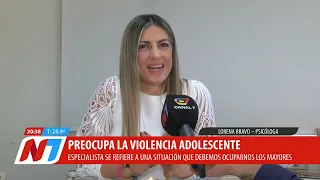 🧩 ADOLESCENT VIOLENCE: THE ROLE OF ADULTS AND SUPPORT