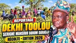 REPORAGE DÉKHI TOOLOU SERIGNE MANSOUR BOROM DARADJI RÉCOLTE EDITION 2026