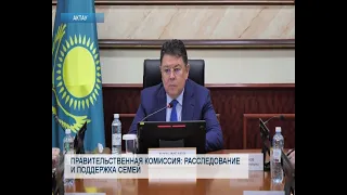 Government Commission: Investigation and Family Support
