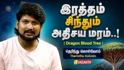 இரத்தம் சிந்தும் அதிசய மரம்..! | Dragon Blood Tree | Therinthu Kolvom | Vasanth TV