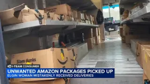 Amazon investigating after Elgin disabled senior inundated with over 100 packages she didn't order