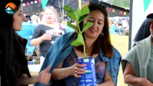 NOTA 01 FIESTA DE LA QUILA   FRUTILLAR 2026