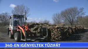 340-en igényeltek tűzifát