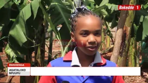 Esigadde ennaku ssatu omwoleso gwa Harvest Money gubeerewo.Tosubwa obukodyo obuliko mu kulima ensuku