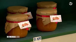 Žitomislić u maslinama - 02.07.2026