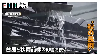 東京都心で33日連続の雨　記録的な長雨で観光地に異変　新たな台風のたまごも（2026年09月28日）