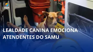 Canine loyalty moves SAMU responders 🐶🐾