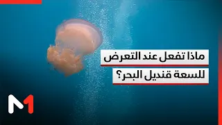 قناديل البحر في شواطئ مغربية .. تحذيرات صحية ونصائح طبية للتعامل مع اللسعات