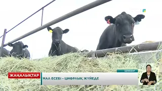 Livestock accounting in a digital system