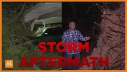 Snapped branches, trees smash vehicles at Mesa complex