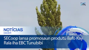 SECoop lansa promosaun produtu Bafo Kay Rala iha EBC Tunubibi