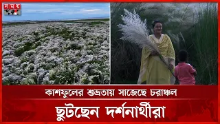শরতের সাদা চাদরে সেজেছে গাইবান্ধার নদীর চর | Kashful | Gaibandha News | Somoy TV