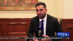 Lebanese experts call for implementing a rapid response system in Arab countries