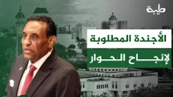 Haitham Mahmoud: The Agenda Required for a Successful Dialogue