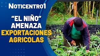 El Niño threatens agricultural exports in Colombia | Canal 1 News