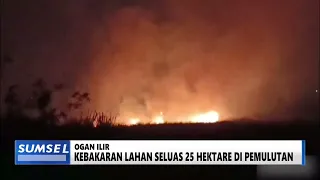 SUMSEL HARI INI - KEBAKARAN LAHAN SELUAS 25 HEKTAR DI PAMULUTAN
