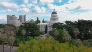 PPIC survey finds no frontrunner in race to replace Gavin Newsom | To The Point with Alex Bell