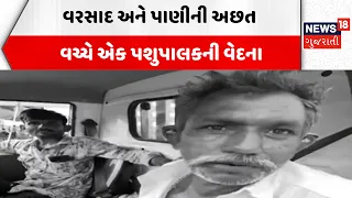 Rain Shortage in Gujarat | વરસાદ અને પાણીની અછત વચ્ચે એક પશુપાલકની વેદના | Farmers | News18 Gujarati