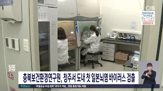 충북 첫 일본뇌염바이러스