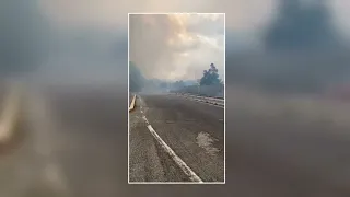 Eur Papillo, formal complaint filed regarding the numerous fires that broke out on Via Laurentina