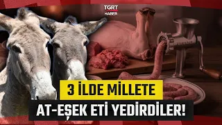 They Served Horse and Donkey Meat as Sausage! Here Is the List of Shameful Companies - TGRT Haber