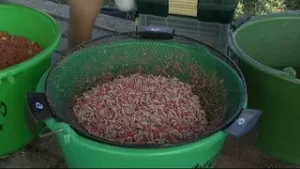 Distractie cu Tibi si Cristi pe Solacolu