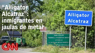 "Alligator Alcatraz": Report reveals immigrants were held in metal cages