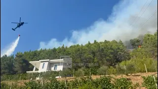 Zjarr i madh në pyjet mbi Milot, flakët i afrohen banesave, nis ndërhyrja nga ajri