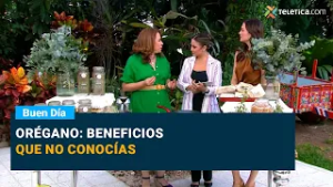 Orégano: beneficios que no conocías