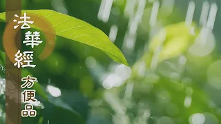 【靜思妙蓮華】法華經方便品第二 - 知苦明諦勤精進 - 第229集｜共修版