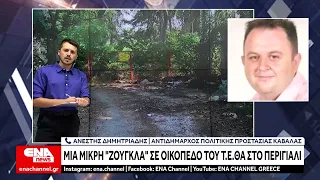 Μία μικρή "ζούγκλα" σε οικόπεδο του Τ.ΕΘ.Α στο Περιγιάλι Καβάλας