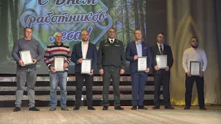 A Profession Dedicated to Protecting the Forest: Pinsk Region Honors Forestry Workers