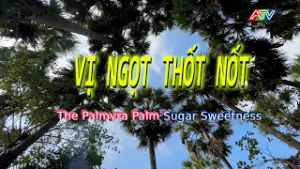 VỊ NGỌT THỐT NỐT (27/02/2026)