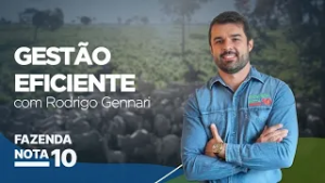 Raio-x da fazenda é crucial para melhores resultados | Gestão Eficiente