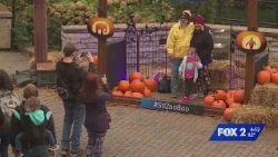 Boo at the Zoo returns