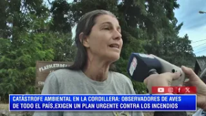 GABRIELA TAVELLA - COA DIUCON: INCENDIOS